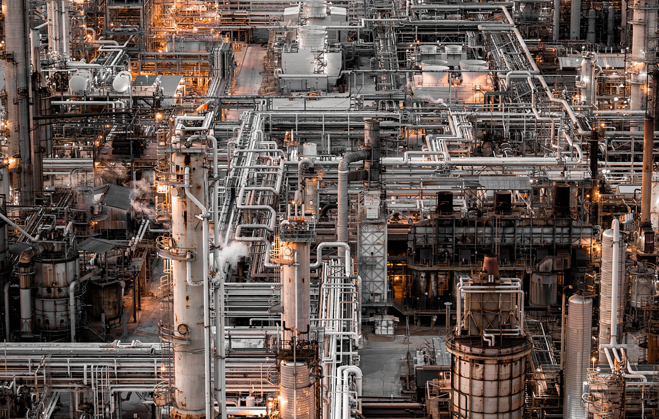 TNFL Trust Now Forge Later